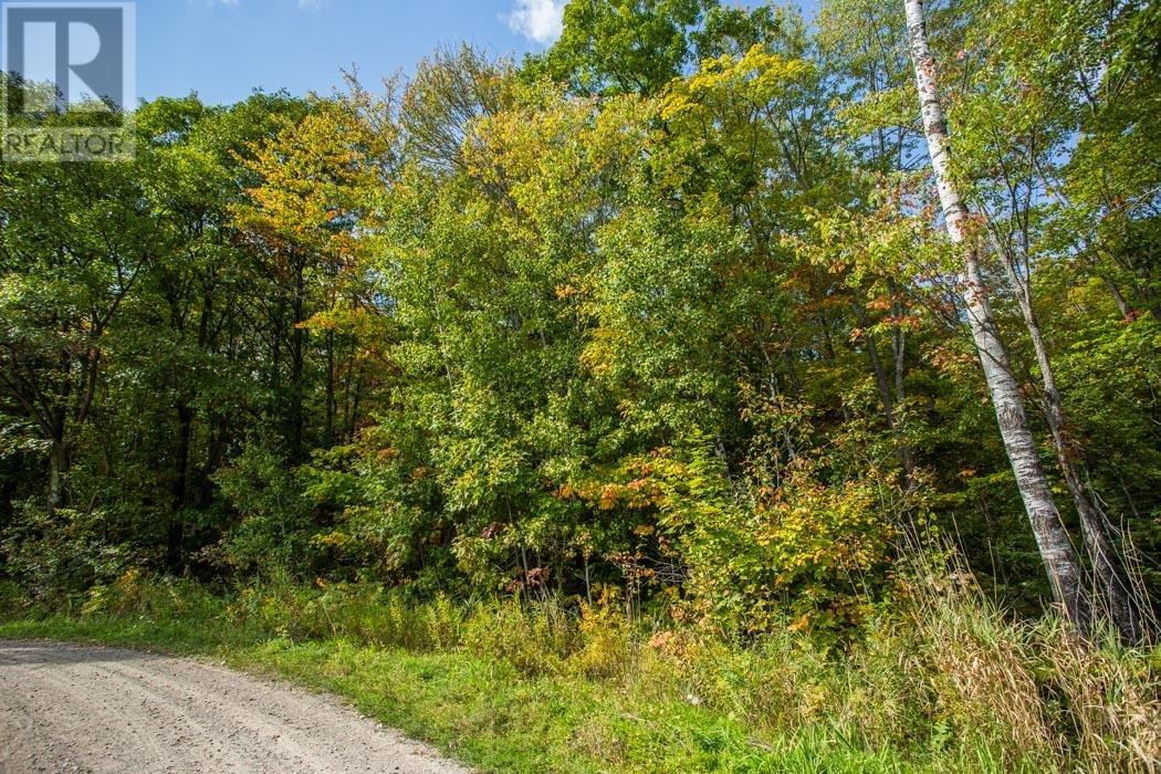 Corner Of Carter Side Road And Gordon Lake Road Pa, Johnson Township, Ontario  P0R 1E0 - Photo 17 - SM252706