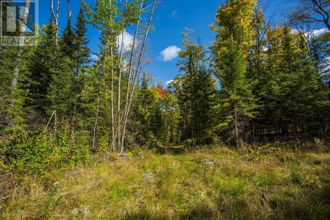 Gordon Lake Road And Carter Side Road Part 1, Johnson, Ontario  P0R 1E0 - Photo 23 - SM252705