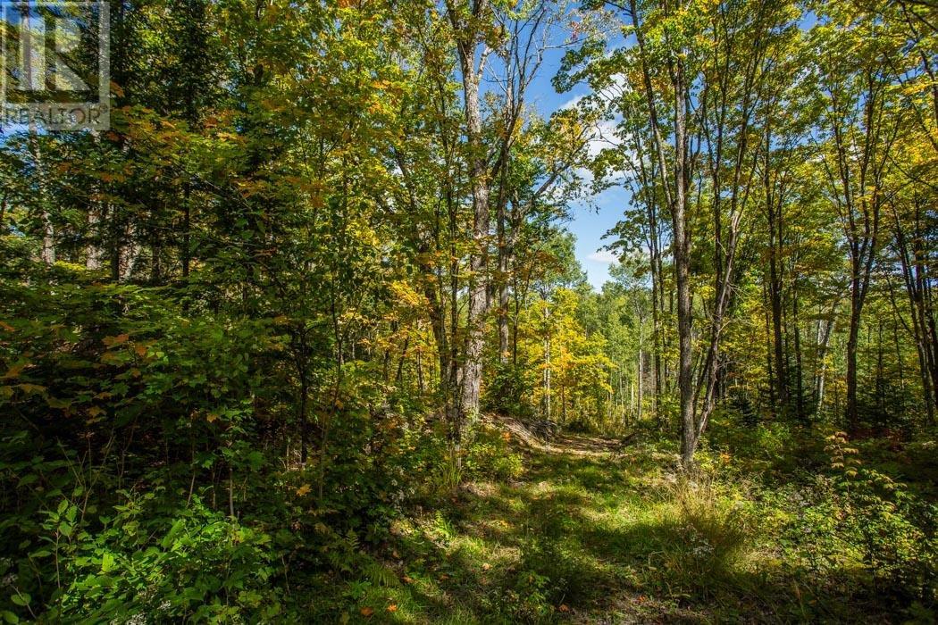 Gordon Lake Road And Carter Side Road Part 1, Johnson, Ontario  P0R 1E0 - Photo 25 - SM252705