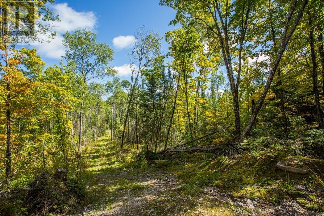 Gordon Lake Road And Carter Side Road Part 1, Johnson, Ontario  P0R 1E0 - Photo 27 - SM252705