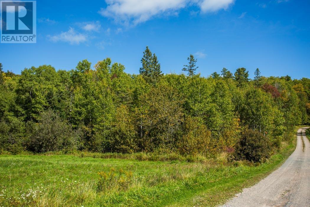 Gordon Lake Road And Carter Side Road Part 1, Johnson, Ontario  P0R 1E0 - Photo 29 - SM252705