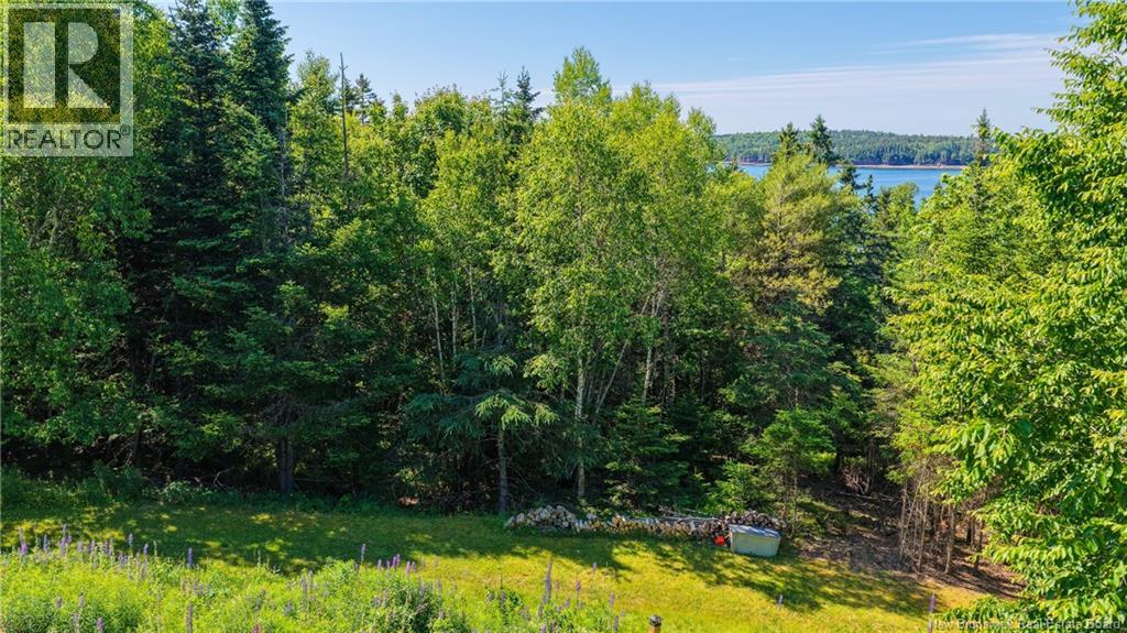 11 Mclaren Drive, Chamcook, New Brunswick  E5B 3E3 - Photo 39 - NB127836
