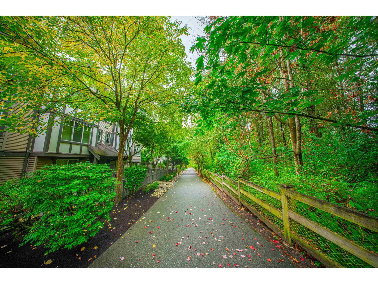 41 20038 70 Avenue, Langley, British Columbia  V2Y 0B4 - Photo 39 - R3053692