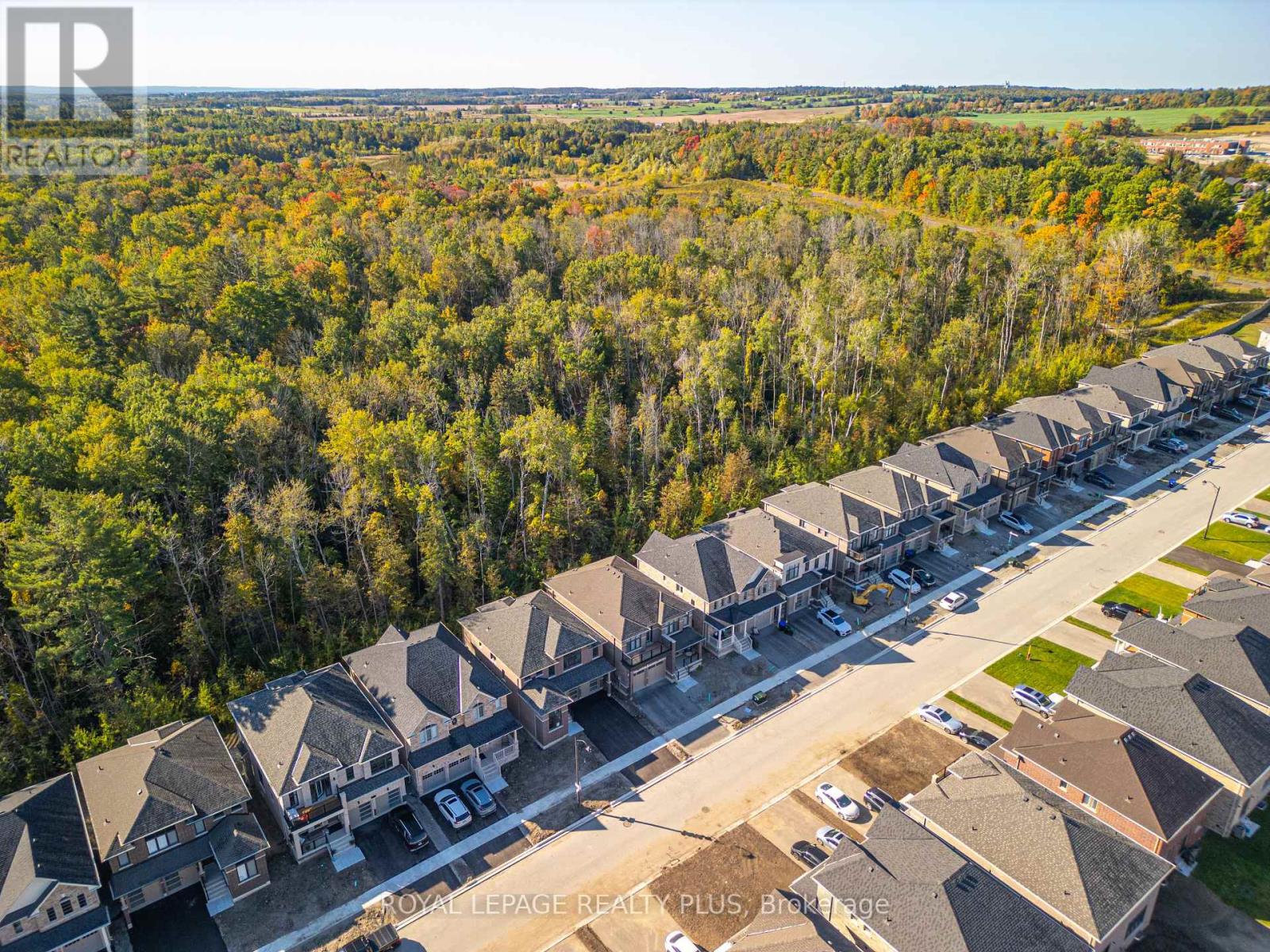 1454 Davis Loop Circle, Innisfil, Ontario  L0L 1W0 - Photo 42 - N12440283
