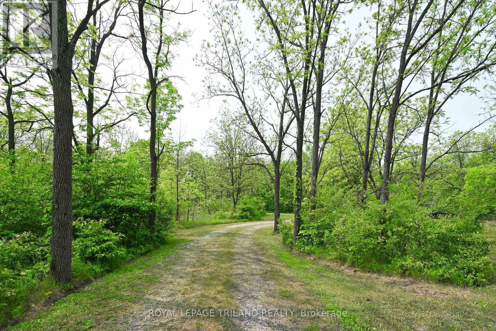 253 Elginfield Road, North Middlesex, Ontario  N0M 2K0 - Photo 26 - X12440511