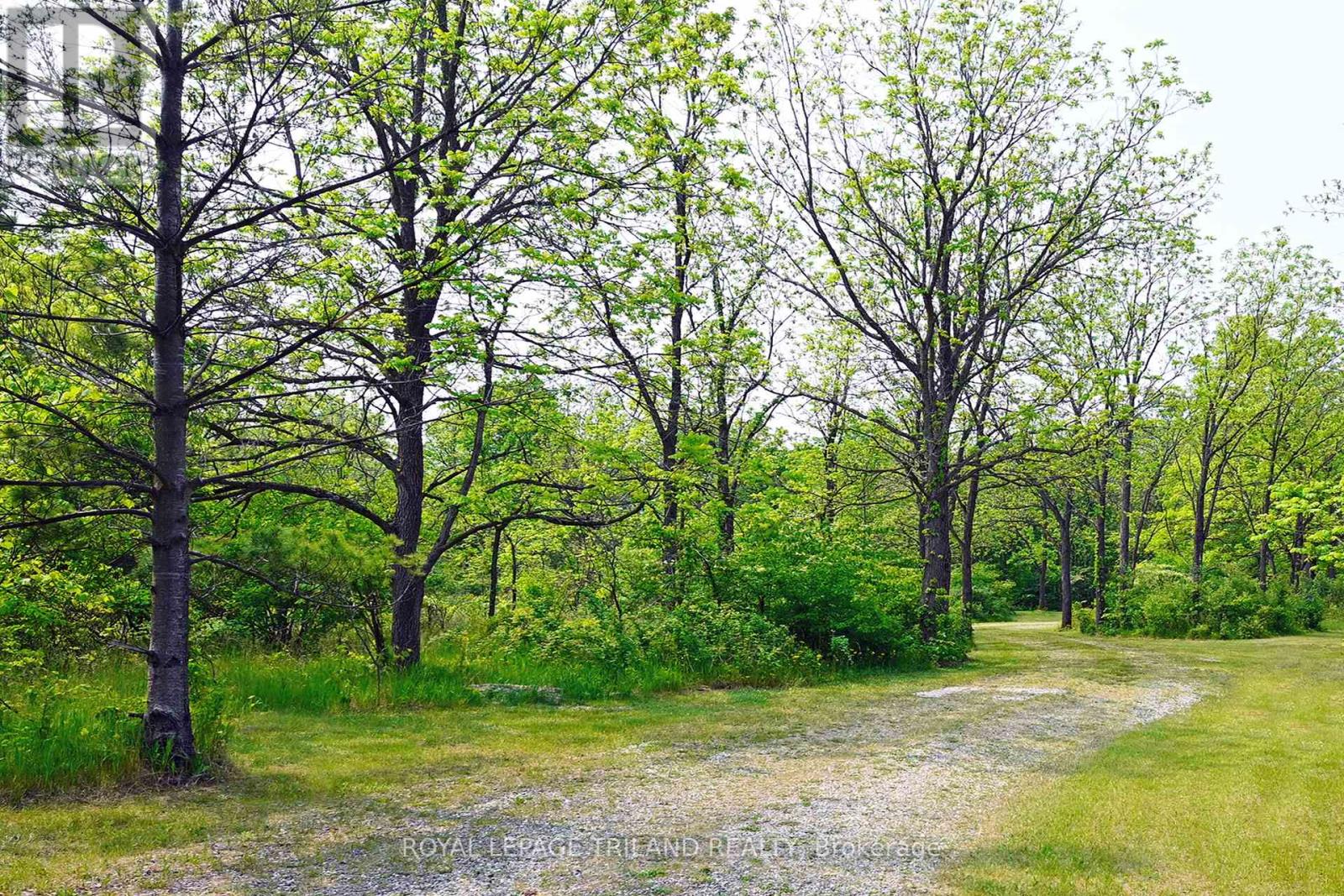 253 Elginfield Road, North Middlesex, Ontario  N0M 2K0 - Photo 27 - X12440511