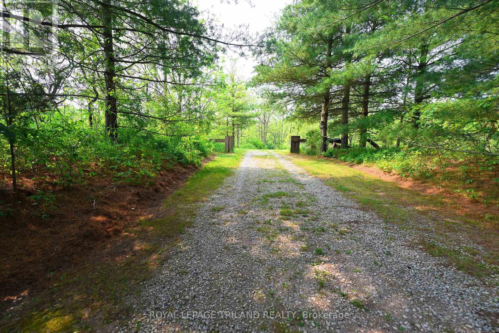 253 Elginfield Road, North Middlesex, Ontario  N0M 2K0 - Photo 28 - X12440511