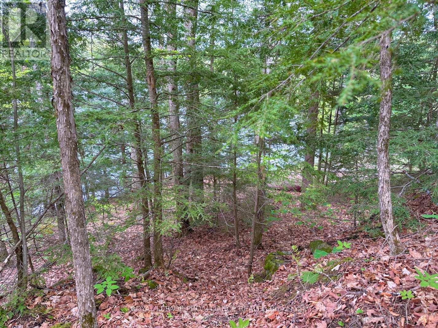0 Granite Terrace Lane, Frontenac (Frontenac North), Ontario  K0K 2J0 - Photo 12 - X12440568