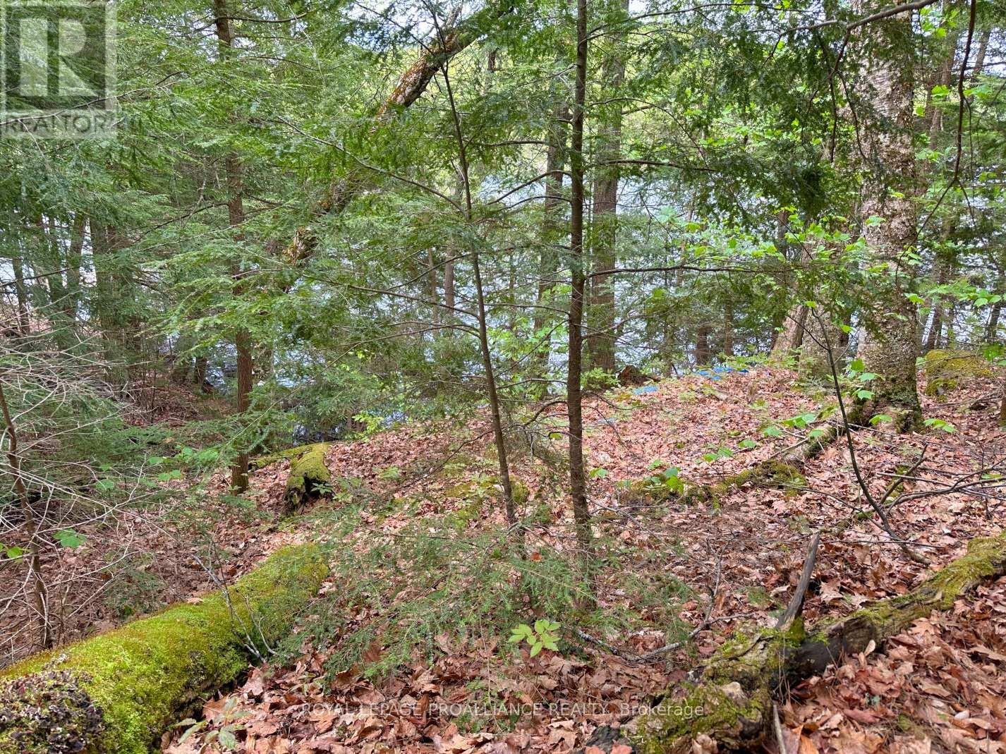0 Granite Terrace Lane, Frontenac (Frontenac North), Ontario  K0K 2J0 - Photo 13 - X12440568