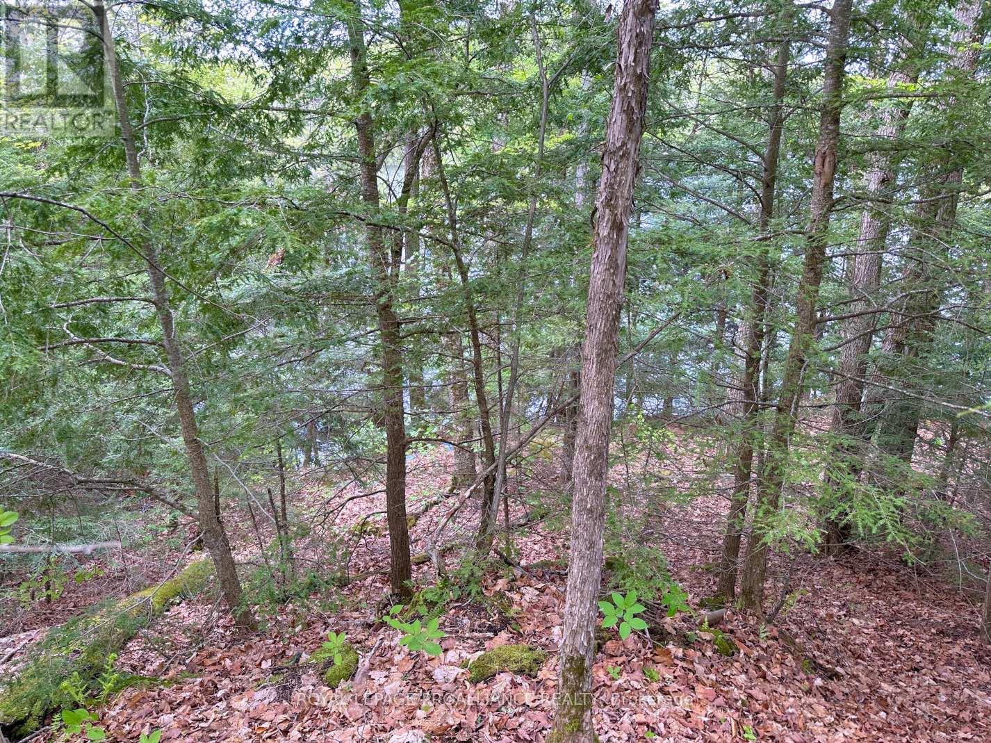 0 Granite Terrace Lane, Frontenac (Frontenac North), Ontario  K0K 2J0 - Photo 14 - X12440568