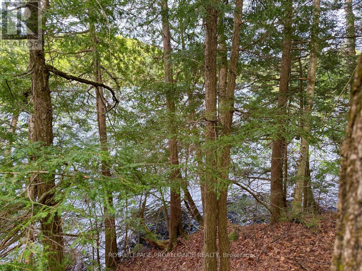 0 Granite Terrace Lane, Frontenac (Frontenac North), Ontario  K0K 2J0 - Photo 4 - X12440568