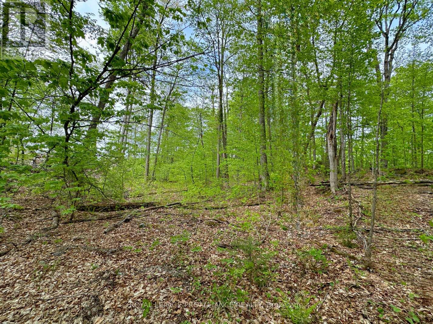 0 Granite Terrace Lane, Frontenac (Frontenac North), Ontario  K0K 2J0 - Photo 5 - X12440568