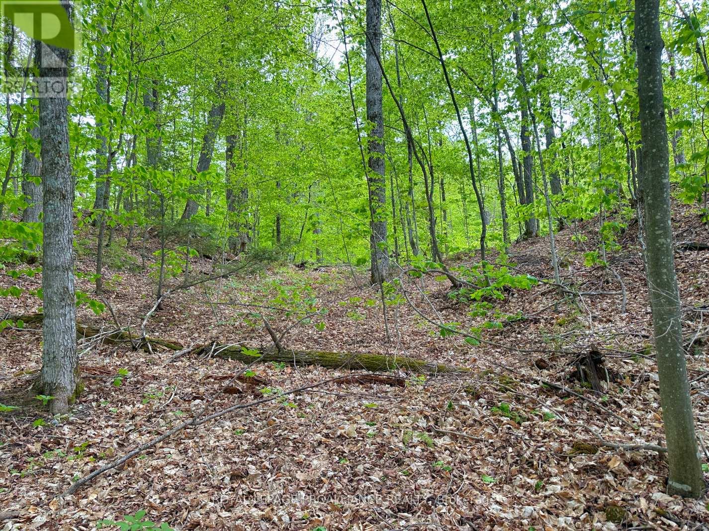 0 Granite Terrace Lane, Frontenac (Frontenac North), Ontario  K0K 2J0 - Photo 6 - X12440568