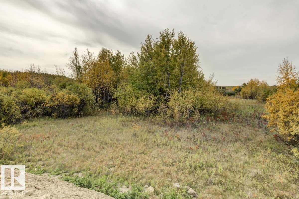 #60 50106 Rr 200, Rural Beaver County, Alberta  T0B 4J2 - Photo 42 - E4460423