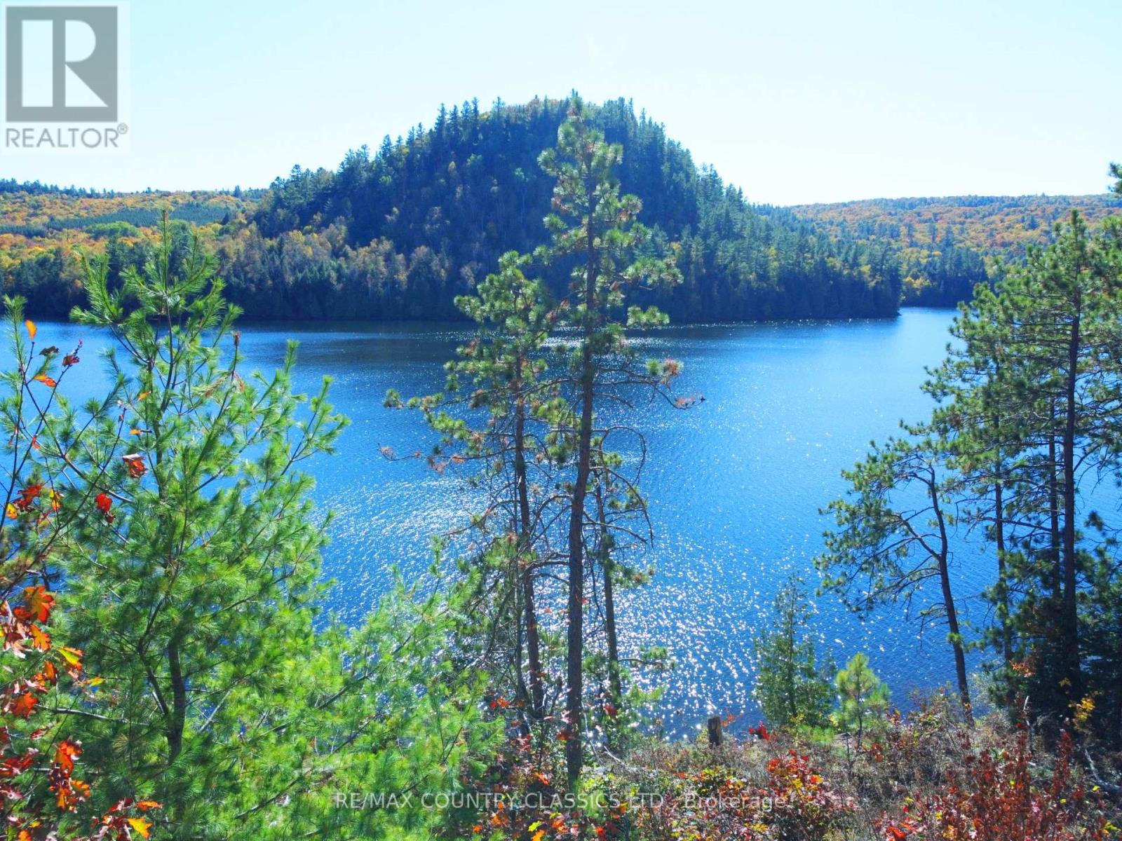 738 Dam Lake Road, Madawaska Valley, Ontario  K0J 1B0 - Photo 4 - X12440485