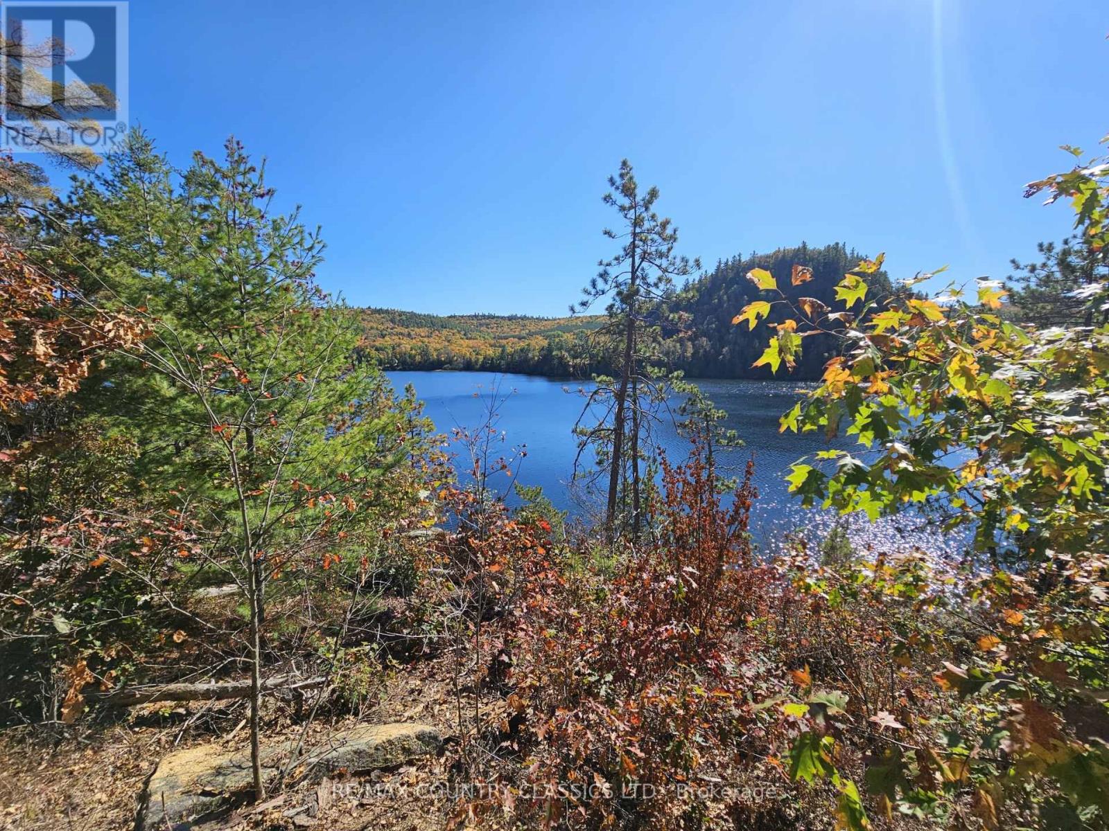 738 Dam Lake Road, Madawaska Valley, Ontario  K0J 1B0 - Photo 6 - X12440485