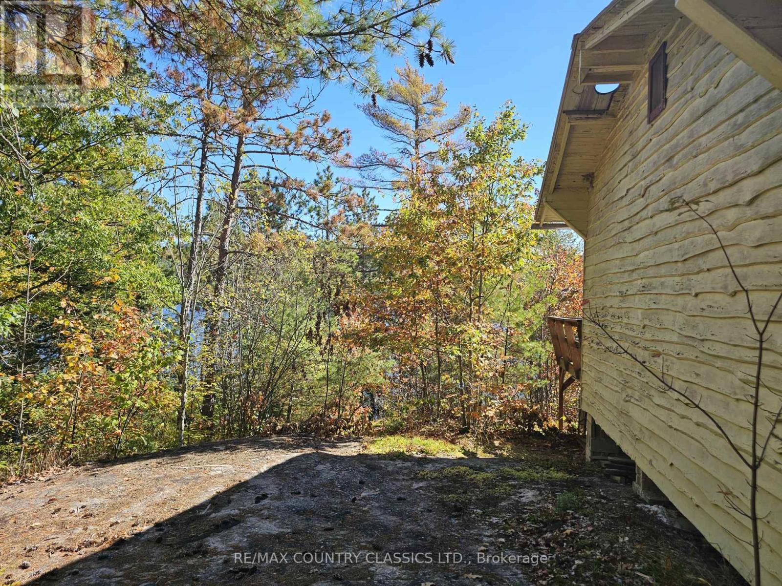 738 Dam Lake Road, Madawaska Valley, Ontario  K0J 1B0 - Photo 7 - X12440485