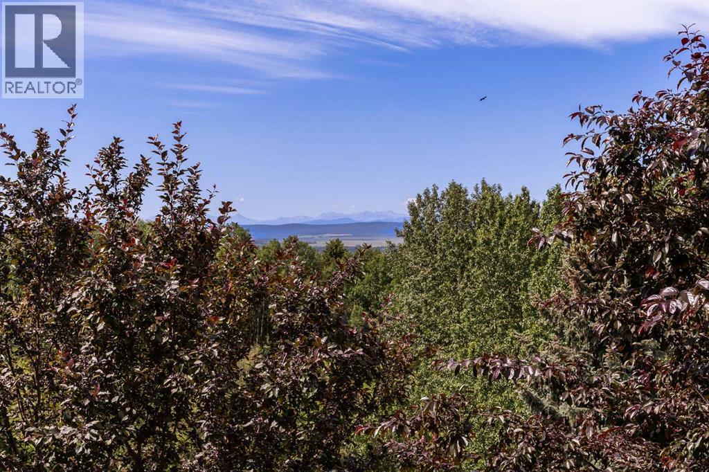 131 Solace Ridge Place, Rural Rocky View County, Alberta  T3Z 3M9 - Photo 42 - A2238857