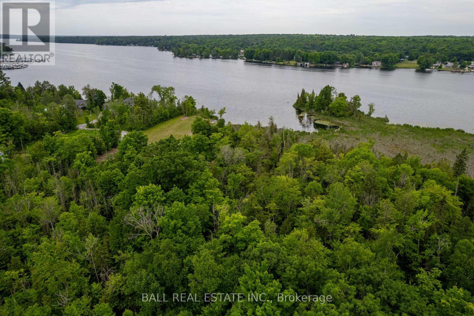0 Mill Line Road, Trent Lakes, Ontario  K0M 1A0 - Photo 19 - X12440616