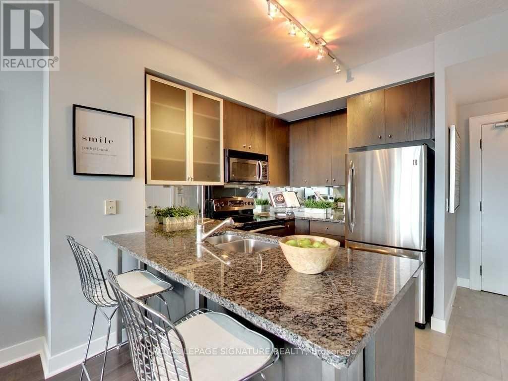 1307 - 438 King Street W, Toronto, Ontario  M5V 3T9 - Photo 4 - C12440519