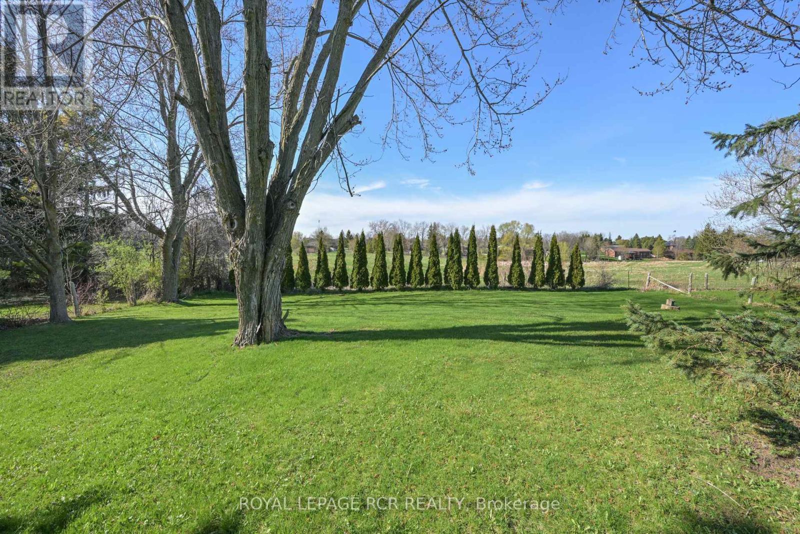 10 Joseph Street, Adjala-Tosorontio, Ontario  L0G 1L0 - Photo 36 - N12440423