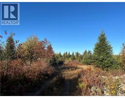 91 Midland Road, Mechanic Settlement, New Brunswick