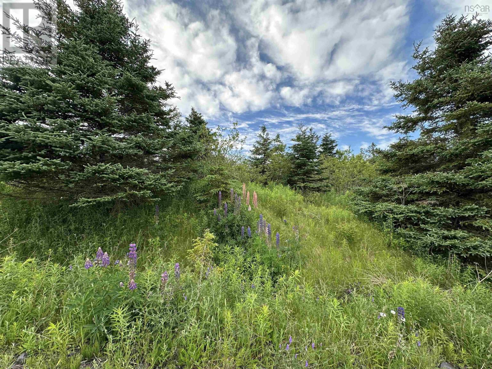 Lorem Ipsum Dolo, Gabarus Lake, Nova Scotia  B1K  - Photo 44 - DEMO28531352