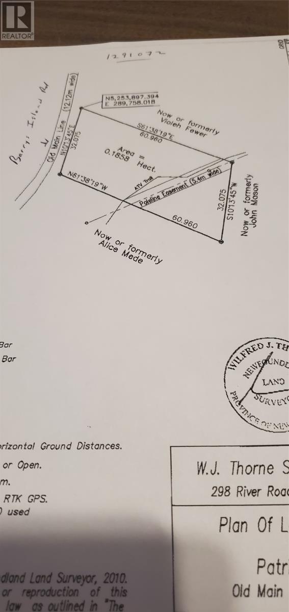 11 Barrys Island Road N, Avondale, Newfoundland & Labrador  A0A 1B0 - Photo 4 - 1291072