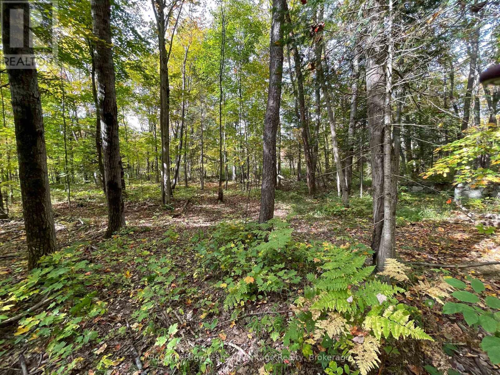 Lt 23 Con 10, Carling, Ontario  P0G 1G0 - Photo 3 - X12430548