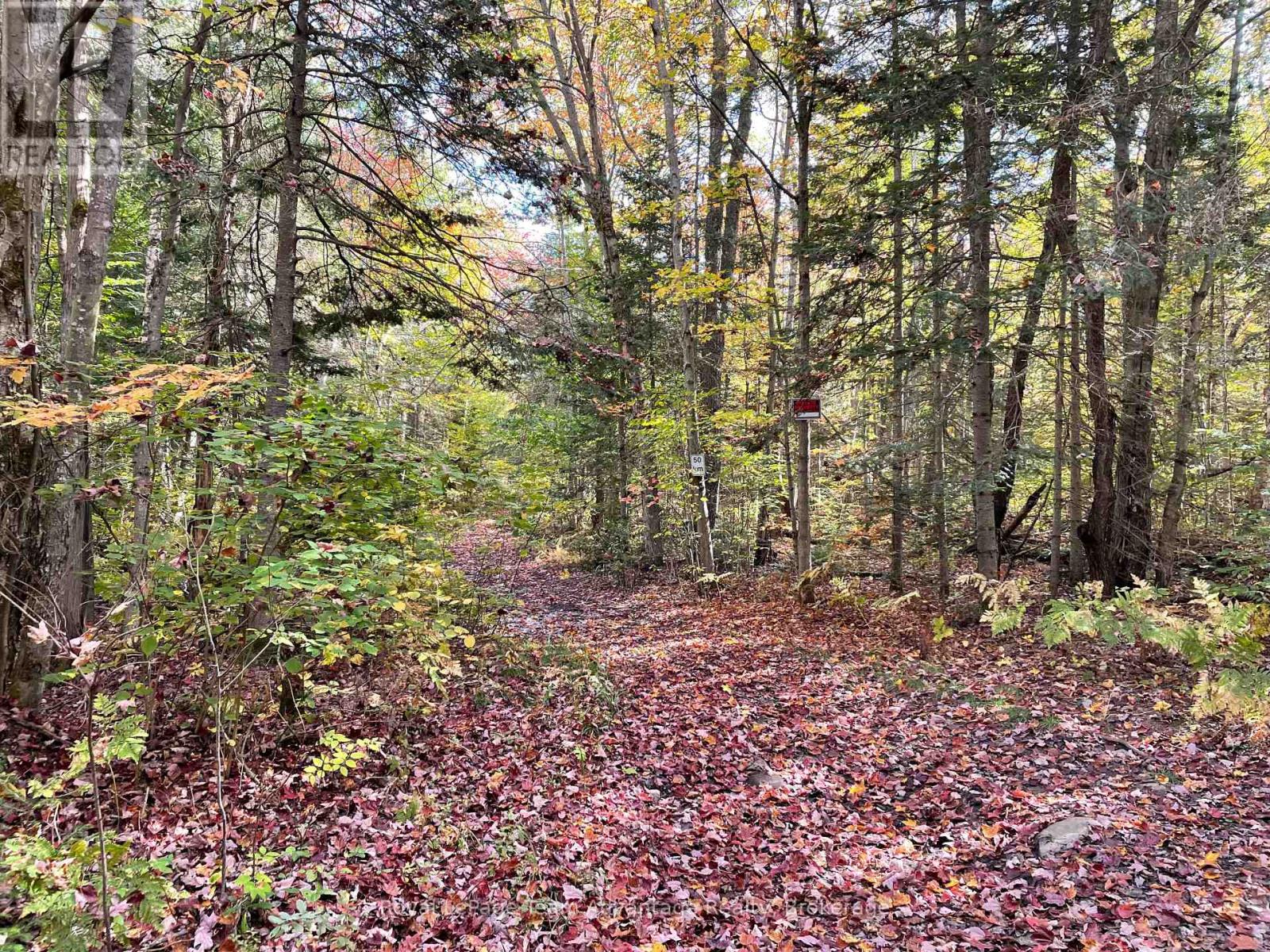 Lt 23 Con 10, Carling, Ontario  P0G 1G0 - Photo 2 - X12430548