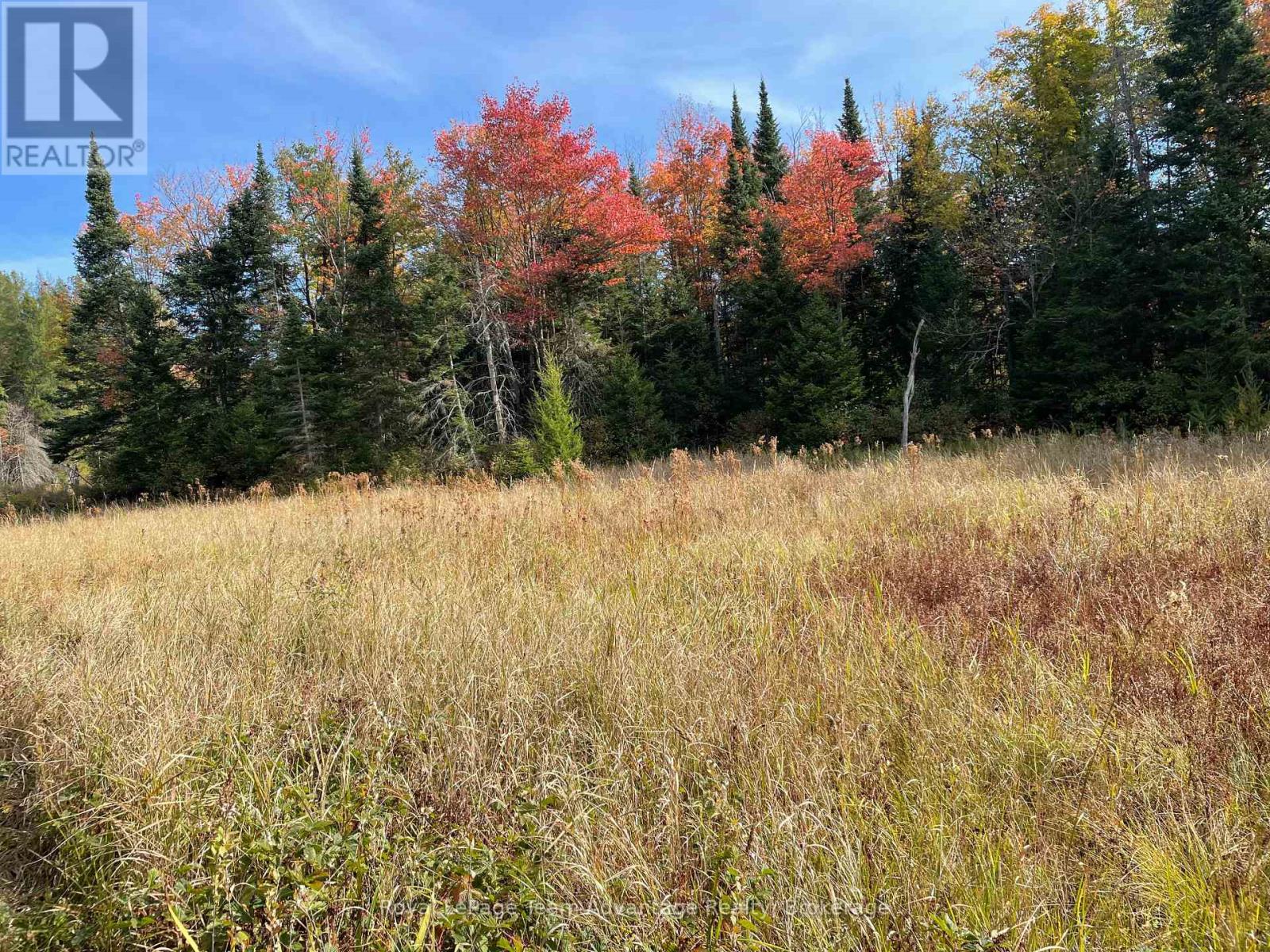 Lt 23 Con 10, Carling, Ontario  P0G 1G0 - Photo 5 - X12430548