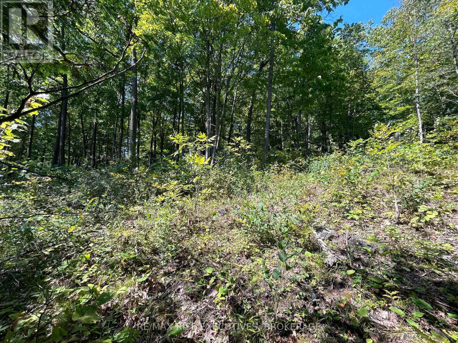 341 Steve Babcock Lane, Frontenac, Ontario  K0H 1W0 - Photo 15 - X12440773