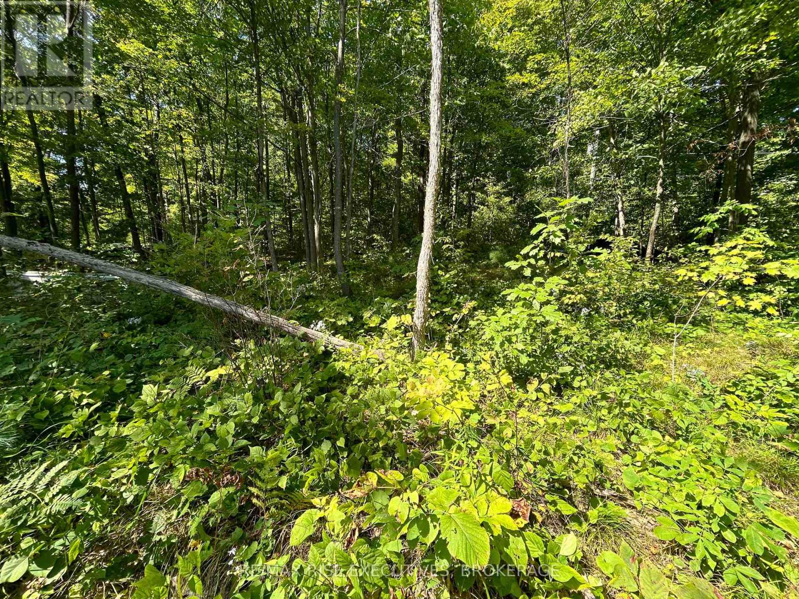 341 Steve Babcock Lane, Frontenac, Ontario  K0H 1W0 - Photo 3 - X12440773