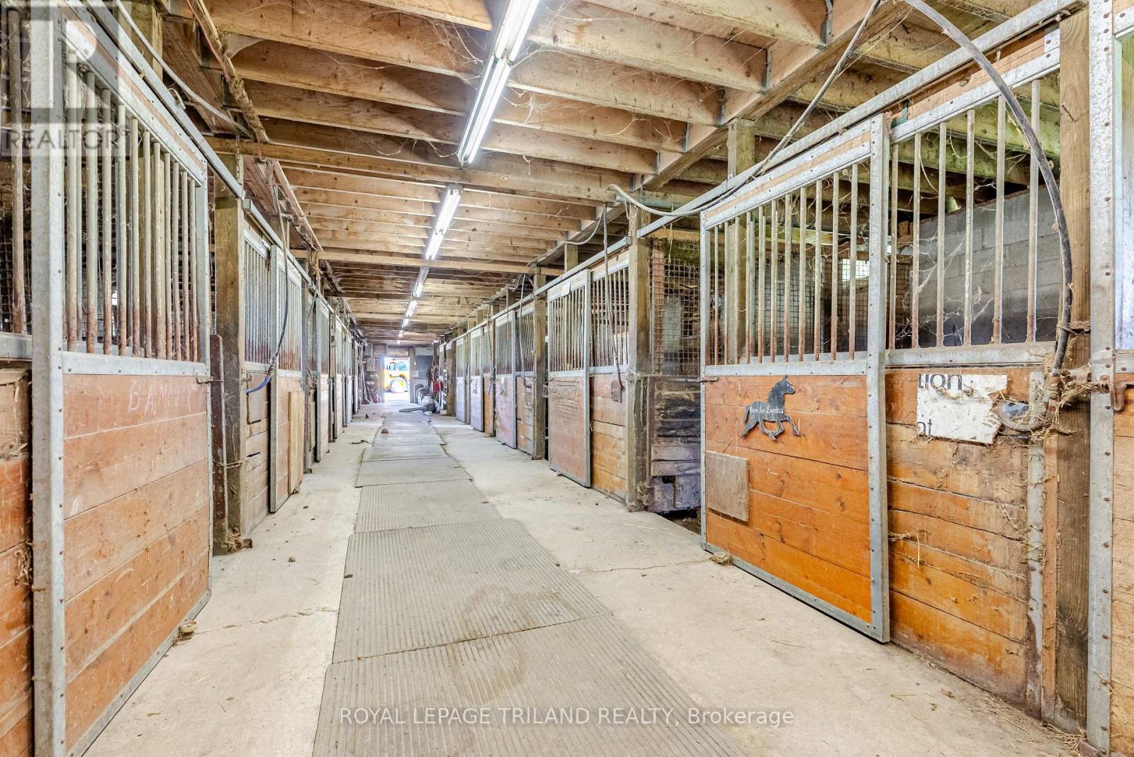 5901 Elgin Road, Thames Centre, Ontario  N0L 1B0 - Photo 16 - X12440716