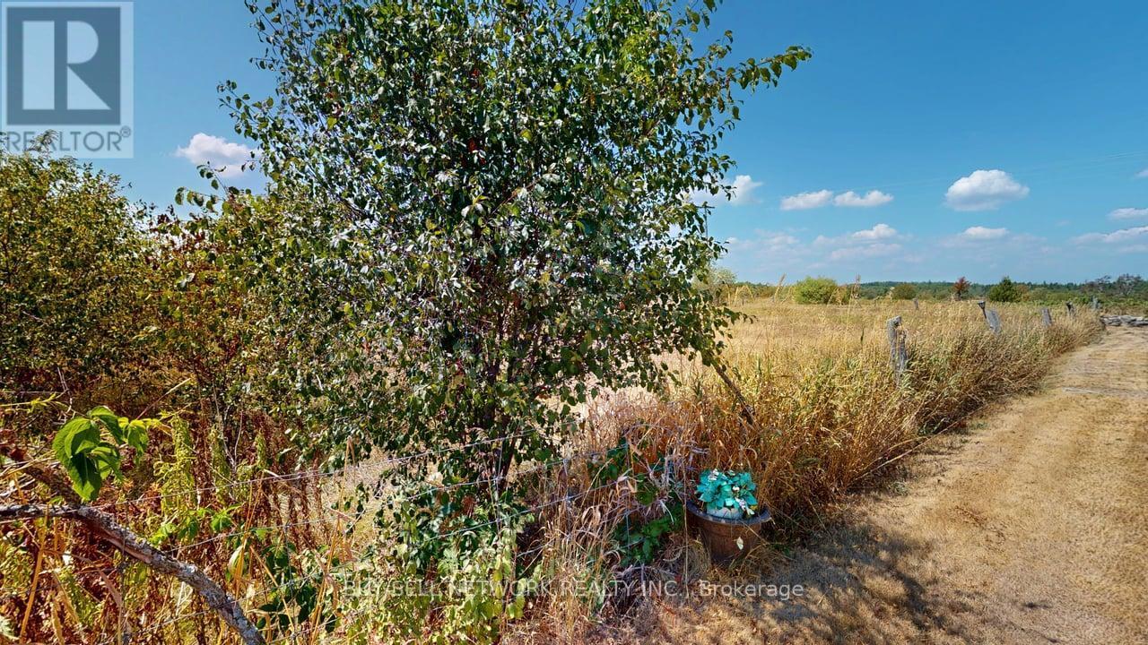 3435 Baseline Road, Otonabee-South Monaghan, Ontario  K0L 2G0 - Photo 23 - X12413023