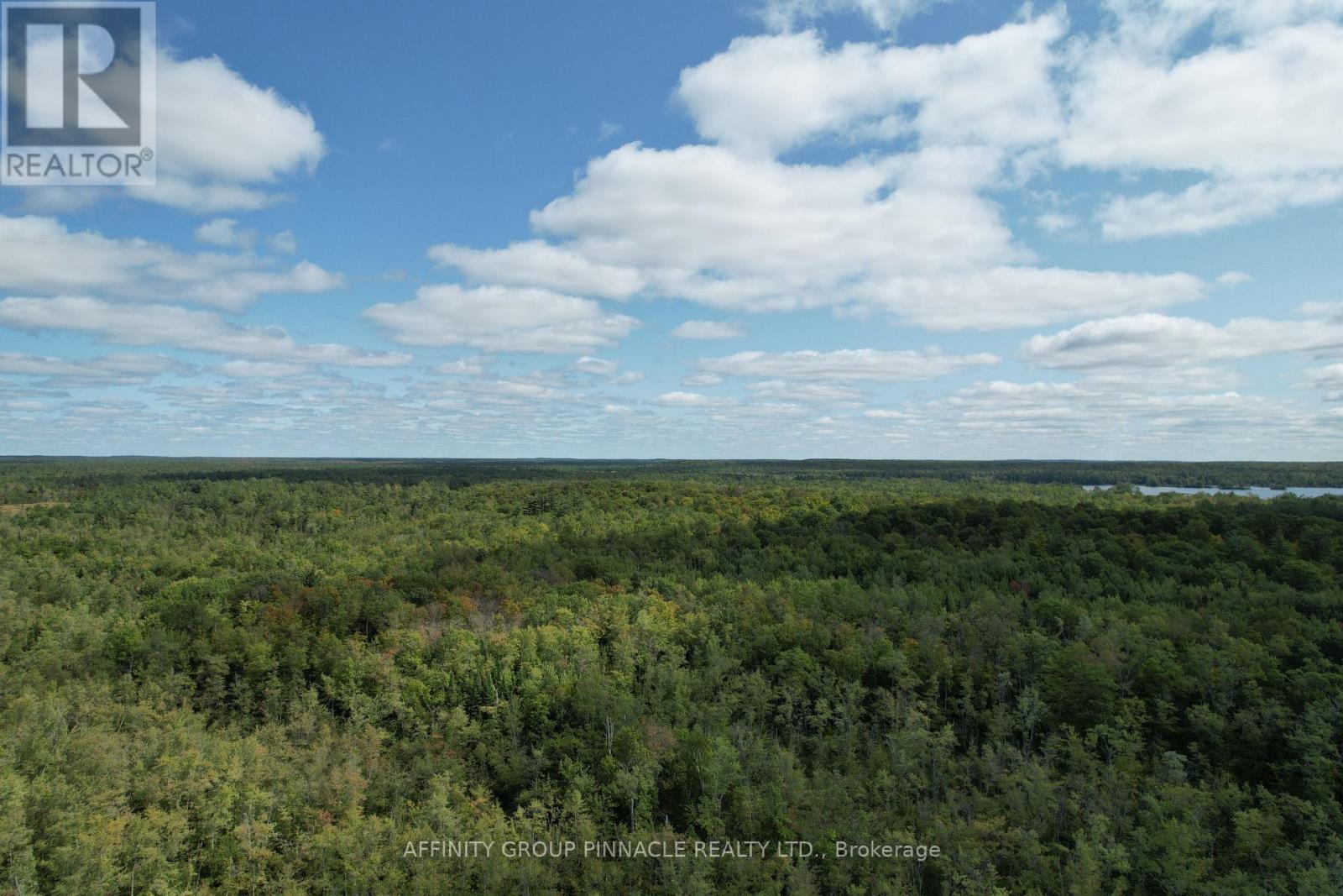195 North Shore Road, Kawartha Lakes, Ontario  K0M 2B0 - Photo 35 - X12440768