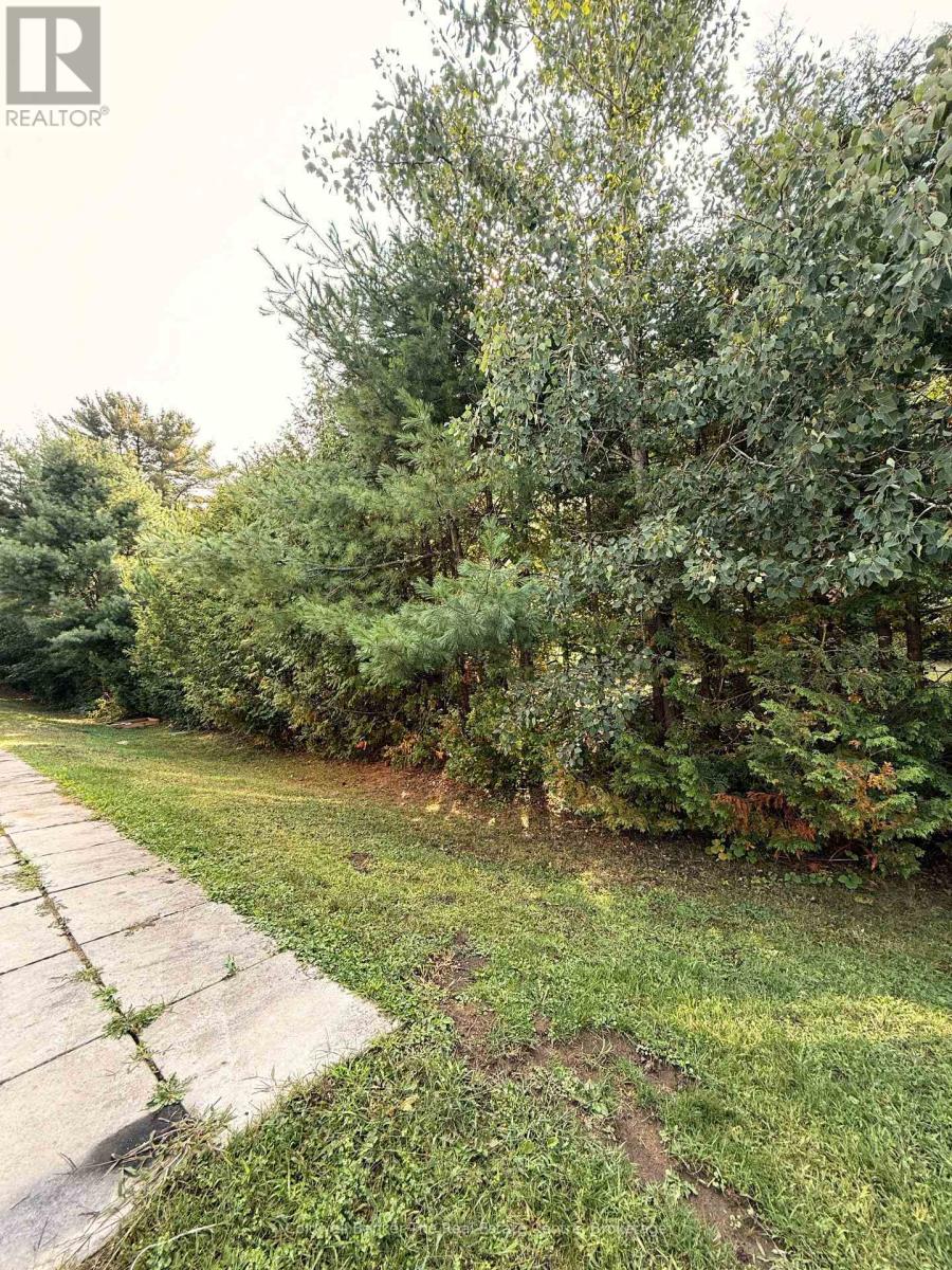 45 - 200 Pine Street, Bracebridge (Macaulay), Ontario  P1L 2H9 - Photo 14 - X12423411