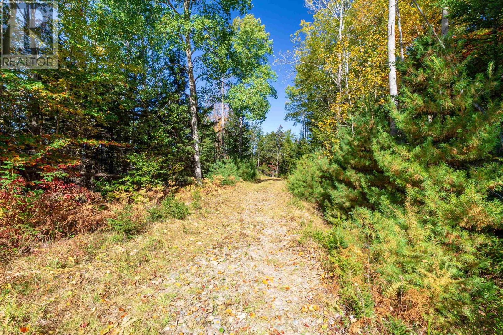 1115 Weymouth Falls Road, Weymouth, Nova Scotia  B0W 3T0 - Photo 8 - 202515235