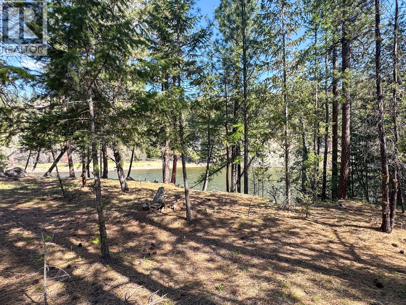 152 River Drive, Cranbrook, British Columbia V1C 0C6 - Photo 5 - 10346282