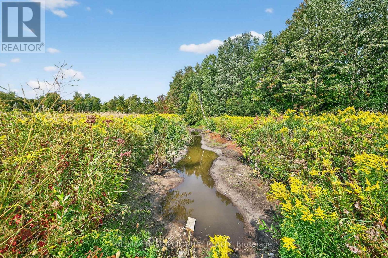 2702 6th Line, Innisfil, Ontario  L9S 4S4 - Photo 47 - N12440735