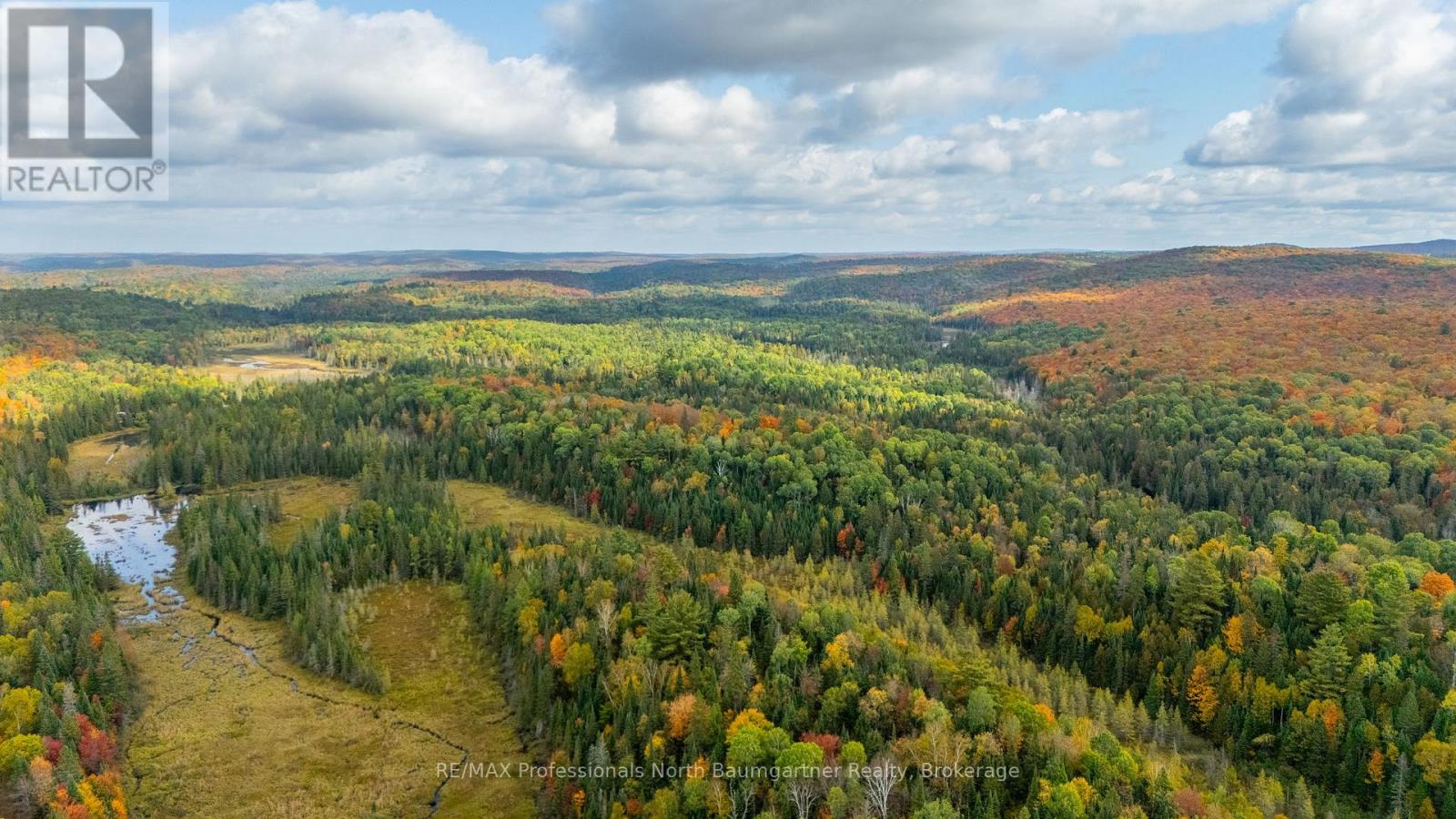 1099 Penzance Trail, Highlands East (Monmouth), Ontario  K0L 2Y0 - Photo 10 - X12440835