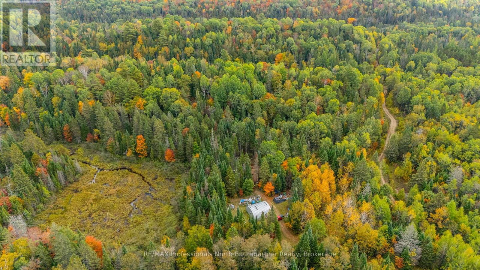 1099 Penzance Trail, Highlands East (Monmouth), Ontario  K0L 2Y0 - Photo 13 - X12440835