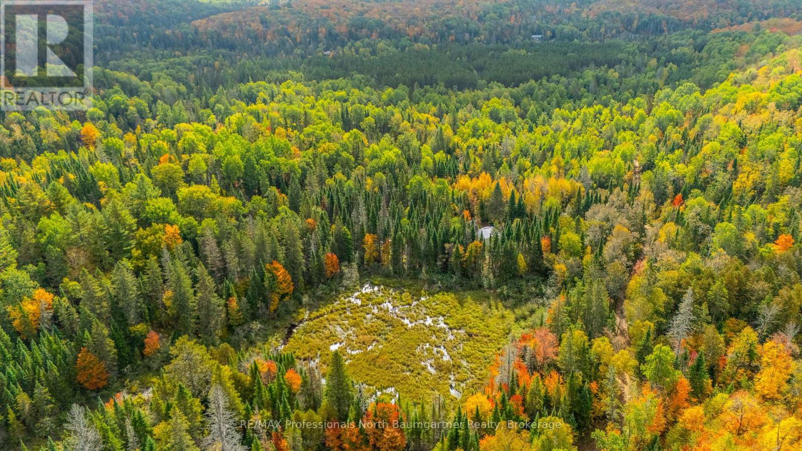 1099 Penzance Trail, Highlands East (Monmouth), Ontario  K0L 2Y0 - Photo 14 - X12440835