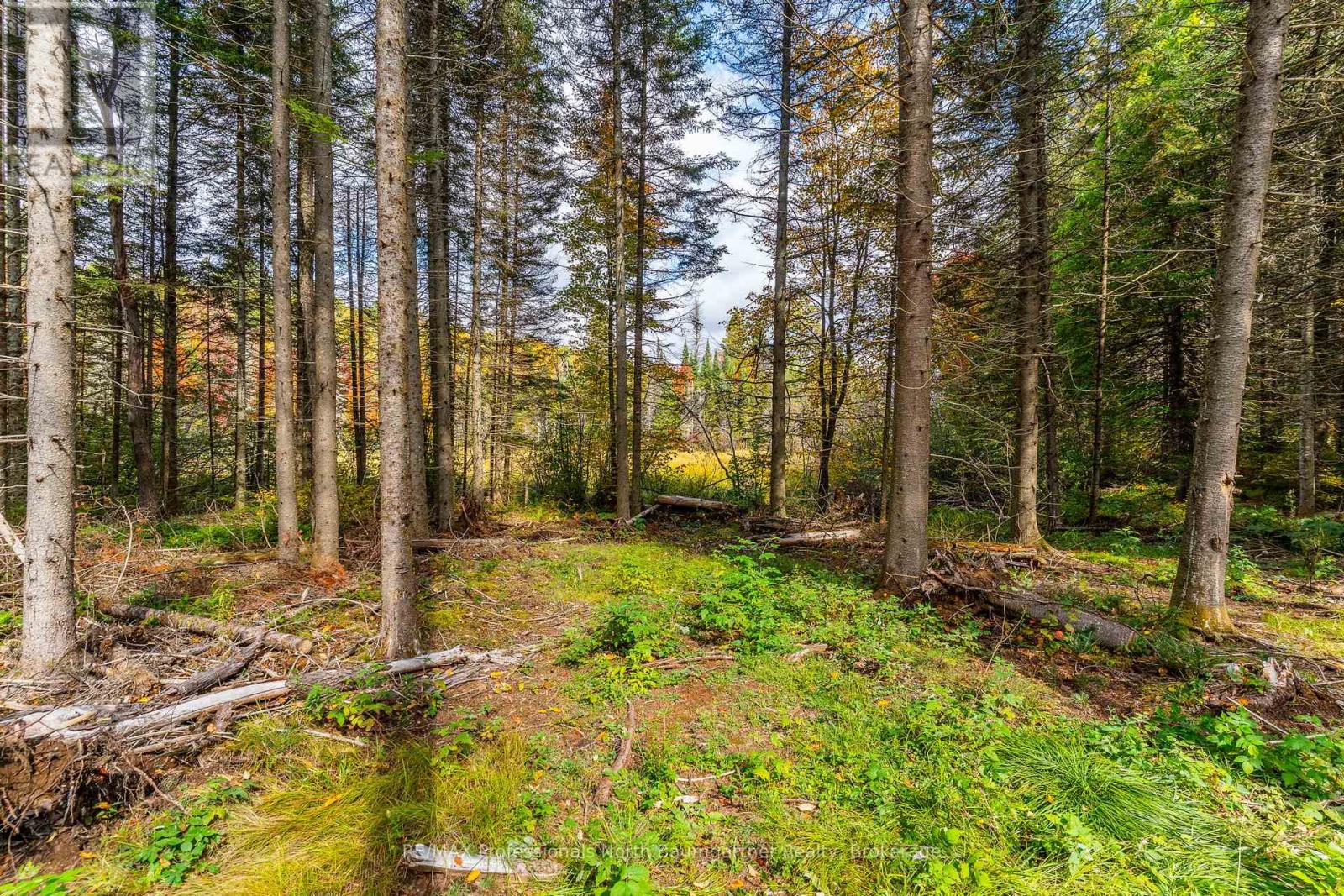 1099 Penzance Trail, Highlands East (Monmouth), Ontario  K0L 2Y0 - Photo 3 - X12440835