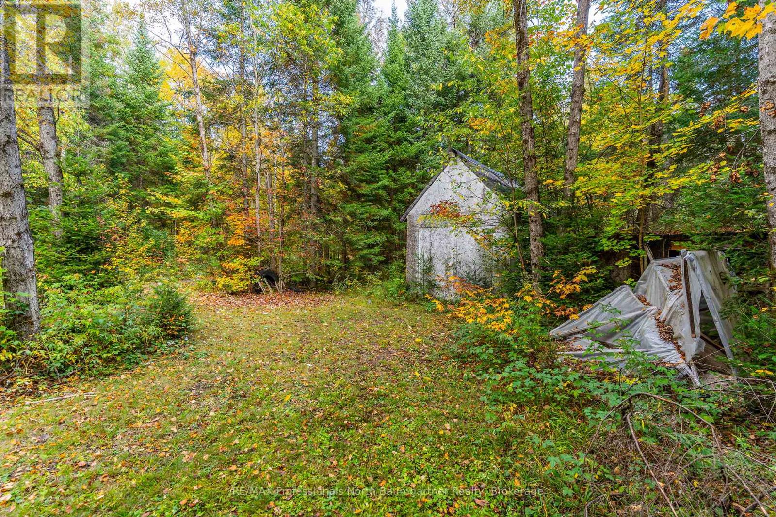 1099 Penzance Trail, Highlands East (Monmouth), Ontario  K0L 2Y0 - Photo 4 - X12440835