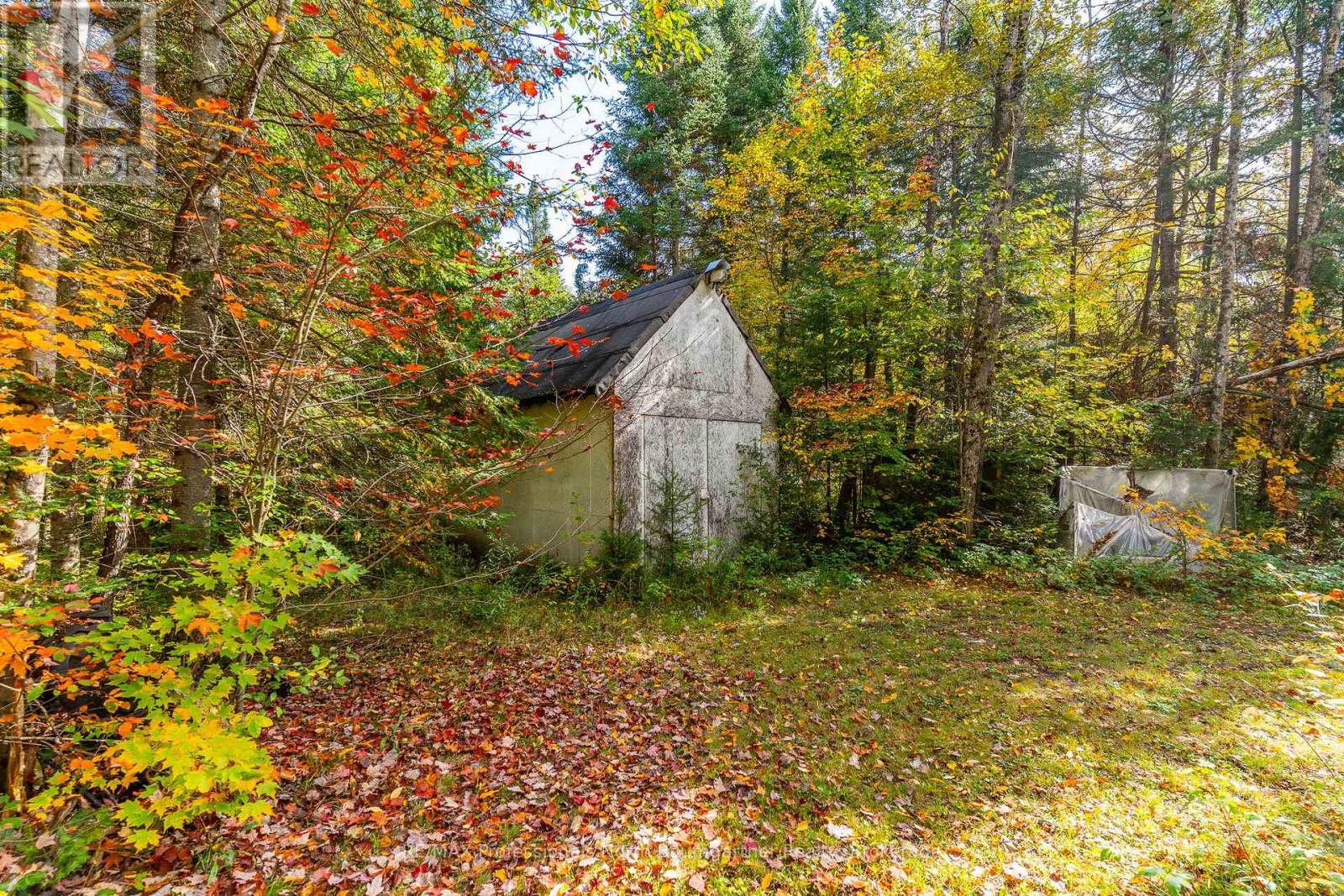 1099 Penzance Trail, Highlands East (Monmouth), Ontario  K0L 2Y0 - Photo 5 - X12440835