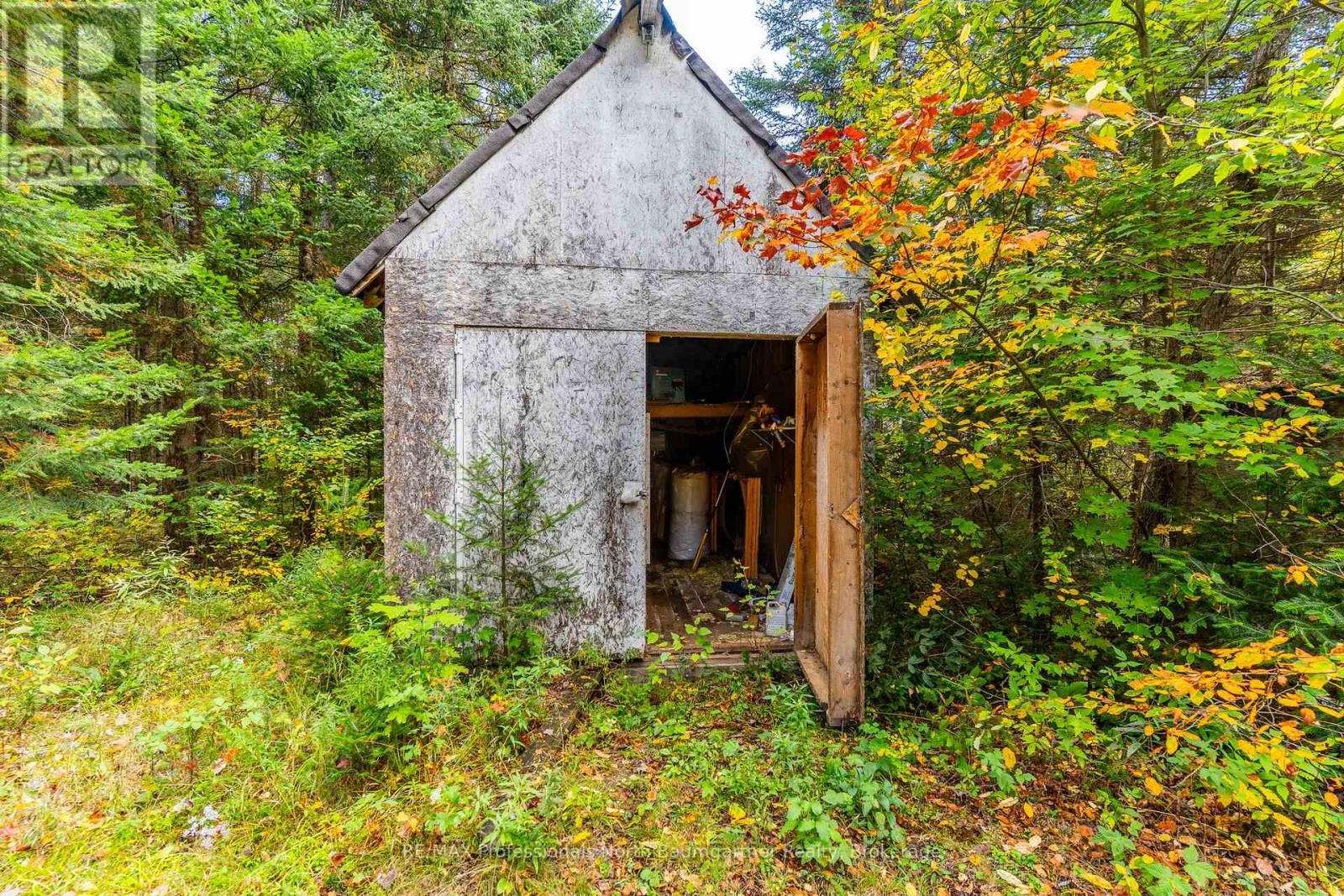1099 Penzance Trail, Highlands East (Monmouth), Ontario  K0L 2Y0 - Photo 6 - X12440835