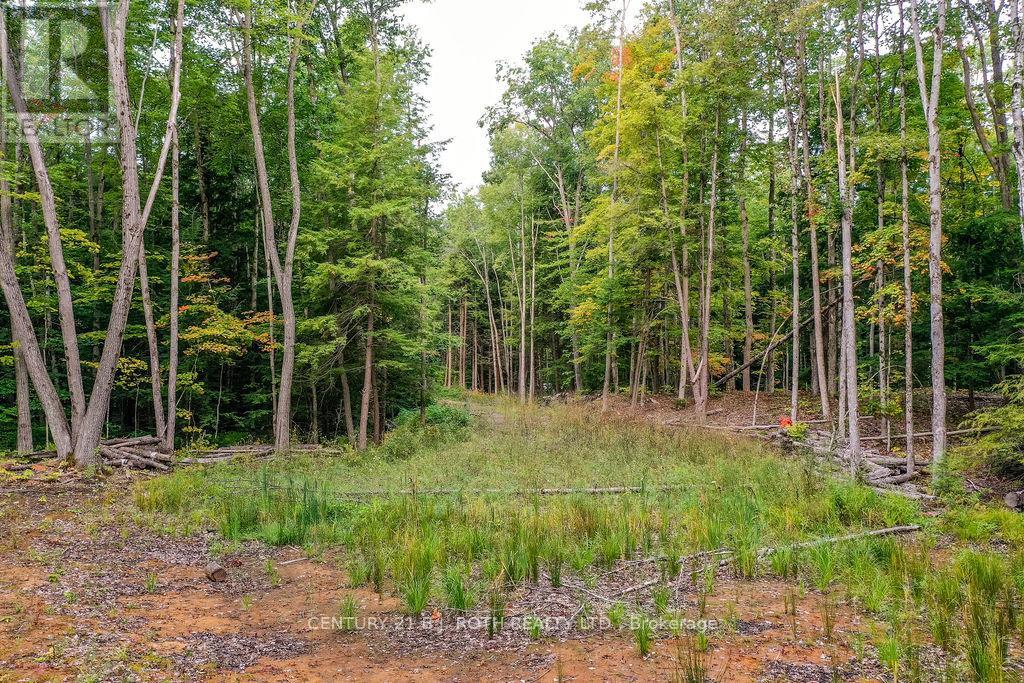 1019 Davis Drive, Gravenhurst, Ontario  P0E 1N0 - Photo 2 - X12440785
