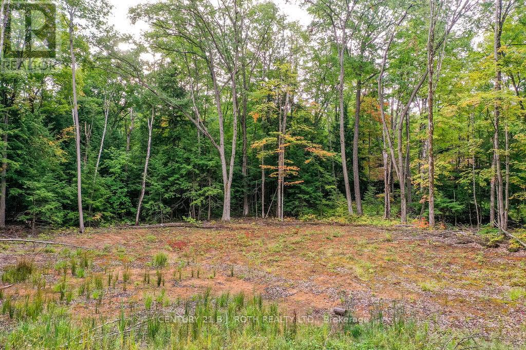 1019 Davis Drive, Gravenhurst, Ontario  P0E 1N0 - Photo 3 - X12440785