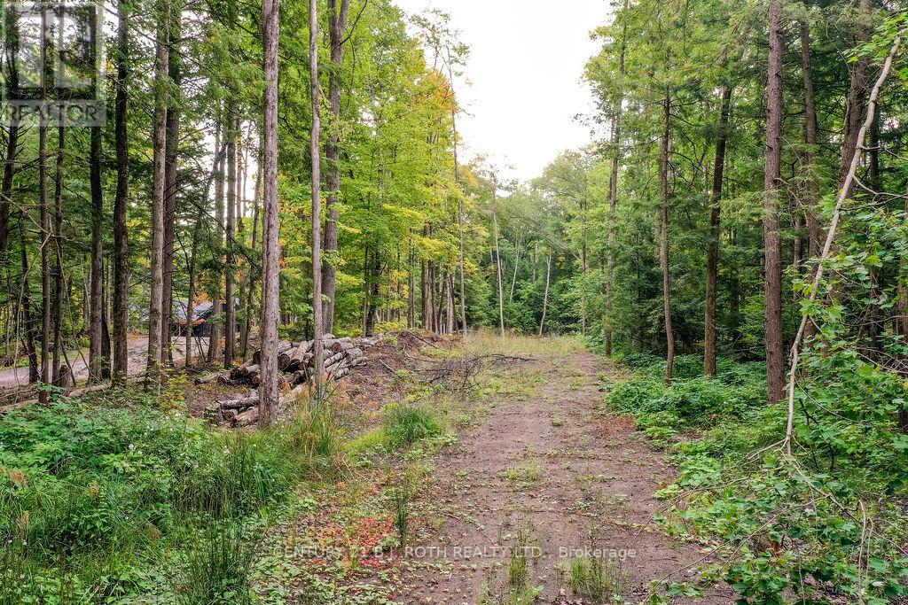 1019 Davis Drive, Gravenhurst, Ontario  P0E 1N0 - Photo 7 - X12440785